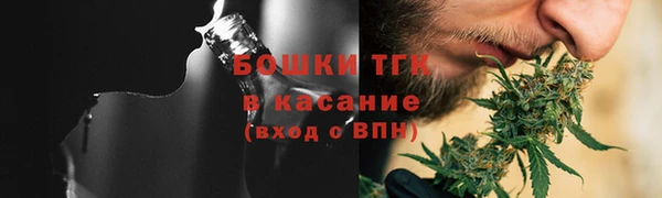 шишки Елабуга
