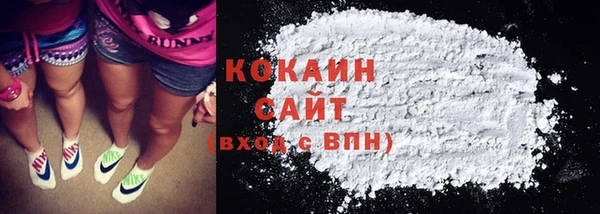прущие грибы Россошь