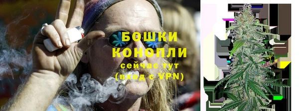прущие грибы Россошь