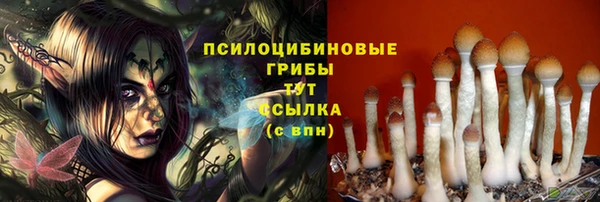 гидропоника Елизово