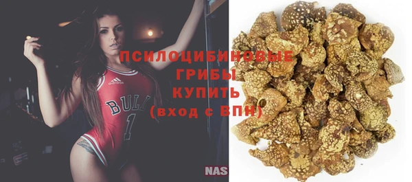 прущие грибы Россошь
