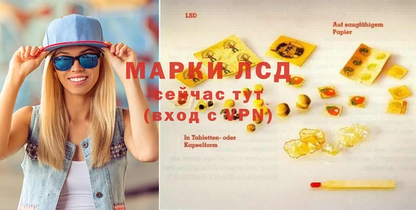 прущие грибы Россошь