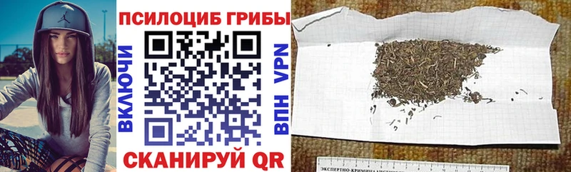 Псилоцибиновые грибы прущие грибы  Сольвычегодск 