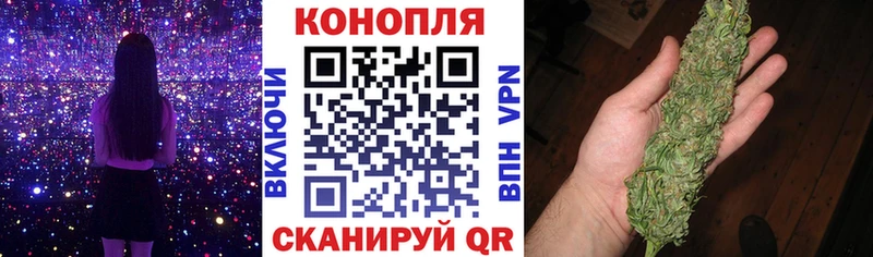 MEGA ONION  Сольвычегодск  Бошки Шишки тримм 